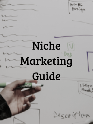Niche Marketing Guide
