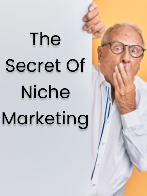 The Secrets Of Niche Marketing Video