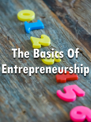 The Basics Entrepreneurship